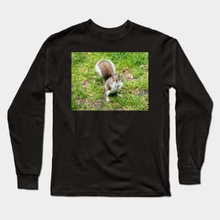 Grey squirrel on some grass Long Sleeve T-Shirt